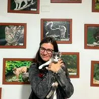 'Catfesito' en Medellín cierra sus puertas por difícil situación económica