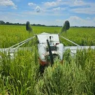 Accidente en Yopal de avioneta que transportaba al candidato a la Gobernación del Casanare.