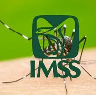 IMSS pide reforzar medidas en contra el dengue en México.