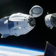 La Misión Crew-7 de la Nasa y Space X llegó este 27 de agosto a la Estación Espacial Internacional con astronautas de EE. UU., Francia, Rusia y Japón.