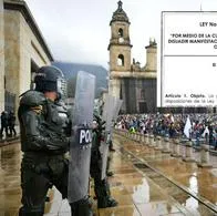 Protestas en Colombia no serán controladas por animales tras sanción de ley