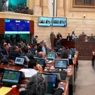Congresistas del partido Conservador y Centro Democrátivo radicaron proyecto de ley para limitar edad en procesos de cambio de genero 