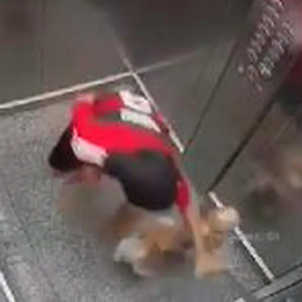Brasil: niño salvó a perro que fue arrastrado por un ascensor en Goiania