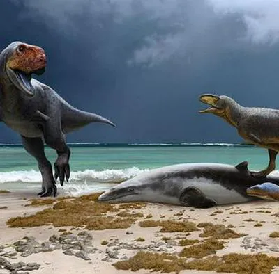 Descubren dos parientes desconocidos del Tiranosaurio rex en Marruecos, al norte de África.