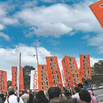 El proyecto de ley del Centro Democrático que motivó las marchas de Fecode.
