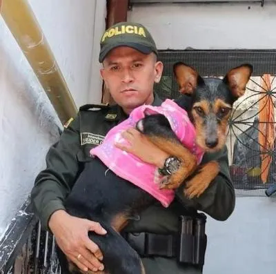 Policía en Ibagué adoptó a perra que fue salvada en creciente del río Combeima