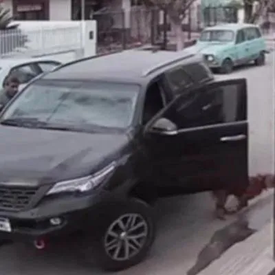 Video viral: perro pone a rodar camioneta en Córdoba (Argentina) y la estrella