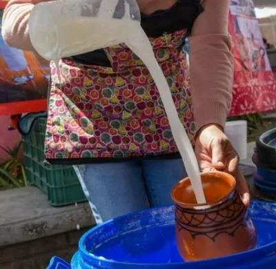 Llega el Festival del Pulque a Ciudad de México.