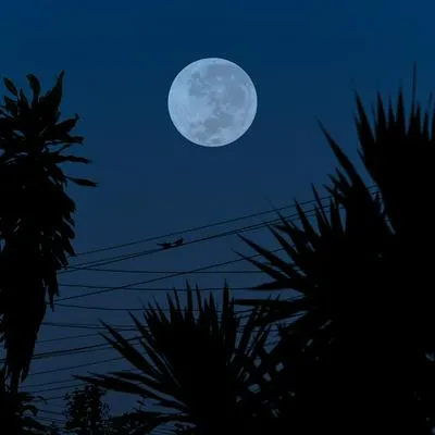 Superluna azul en Colombia: se puede ver en varias ciudades y sin necesidad de elementos costosos.