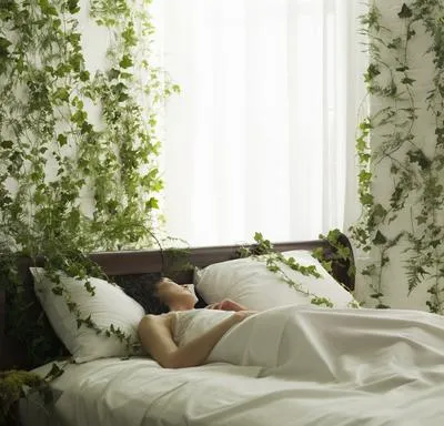 ¿Es recomendable dormir con plantas en la habitación?