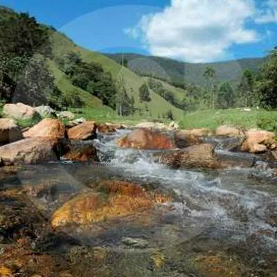 Reserva natural en Medellín, ciudad que estpa estrenando tres territorios protegidos.