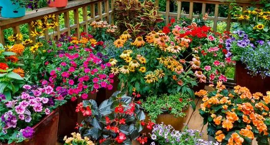 image_desktop