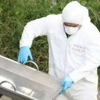 Encontraron muerto a Juancho, de 17 años, a orillas del Río Roble en Quimbaya