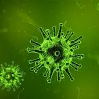 Alerta mundial por resistencia bacteriana a los antibióticos