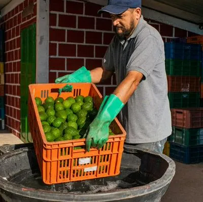Desempleo en julio de 2023: Dane entregó el dato oficial con ciudades y oficios