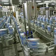 Alarmante cifra de familias que se quedarían sin empleo por crisis de famosa lechera.
