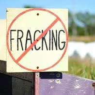 La ministra de Ambiente Susana Muhammad, explicó en el Congreso por qué esta ley es importante para proteger ecosistemas y recursos hídricos de Colombia.