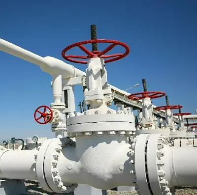 Empresarios abren llave de problemas al Gobierno por falta de gas en la Costa.