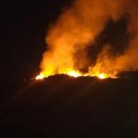 Aumentan incendios forestales en Cundinamarca: 223 en lo corrido del año