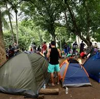 En Colombia hay más migrantes venezolanos que habitantes en Medellín, según cifras Dane