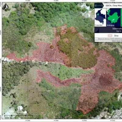 Incendios forestales en el Valle de Aburrá han consumido este año un bosque equivalente a 120 canchas de fútbol.