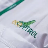 Una extrabajadora de Ecopetrol reconoció que suplantó firmas para apropiarse de $ 58 millones que eran apra viáticos. Fiscalía la condeno.
