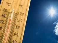 Efectos de la Ola de calor sobre la vida humana y  animales, expertos dan recomendaciones