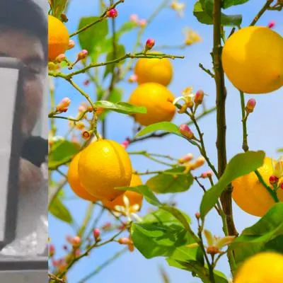 Precio del limón en Perú hizo que hombre lo propusiera como moneda de cambio