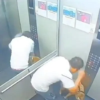 Hombre le pega a perro en ascensor en Itagüí y para autoridades no hubo maltrato