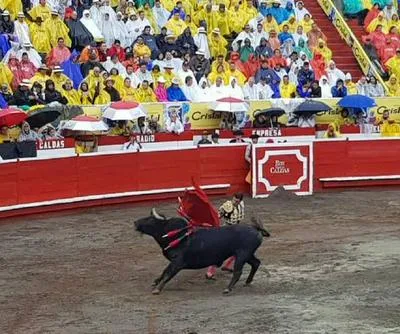 Animalistas en Caldas celebran posibilidad de prohibición de las corridas de toros