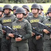 Gaula, que rescató a doce personas secuestradas por las disidencias armadas