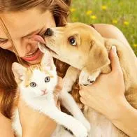 Perro y un gato, en nota sobre nombres bonitos para las mascotas