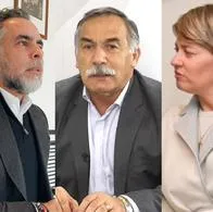 El exembajador Armando Benedetti, el exviceministro Ricardo Díaz y la primera dama, Verónica Alcocer.