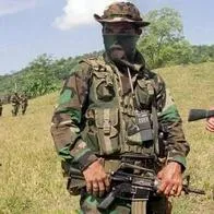 Defensores de derechos humanos exigieron a las autoridades de Norte de Santander acciones de seguridad por alianza entre bandas y 'Clan del Golfo'.