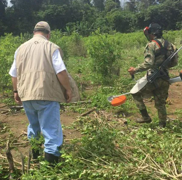 Campesinos del Catatumbo le piden al Gobierno de Colombia celeridad en la sustitución de cultivos ilícitos para poder generar ganancias en otros rubros.