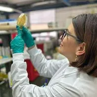 Científicos de la Javeriana en Bogotá buscan macromolécula contra el COVID-19