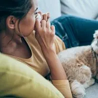 6 razas de perro recomendables para niños con rinitis alérgica según expertos