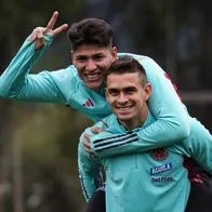 La Selección Colombia ya está en Chile para su compromiso por las Eliminatorias y tuvo un duro cambio al llegar a dicho país. Acá, los detalles.