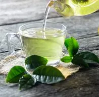 El té verde sirve para adelgazar, tiene diversos beneficios y componentes para el cuerpo humano.