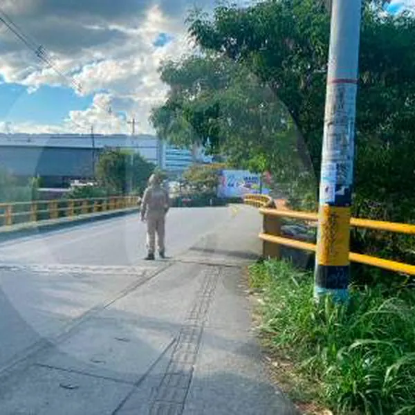 Ataque masivo de abejas causó pánico en La Estrella