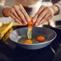 Comer huevo todos los días es malo: Harvard respondió con estudio para el cuerpo