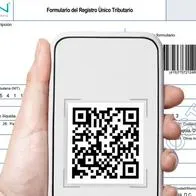 La Dian dio a conocer el paso a paso para que en Colombia se pueda descargar el RUT y evitar caer en las estafas de personas que cobran por hacerlo.