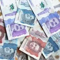 Así puede consultar si es beneficiario del Ingreso Mínimo Solidario en Bogotá, que entregará a muchos hasta $ 740.00. Le contamos detalles.