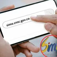 ¿Qué es SIMO? Link para crear su perfil y explicación de cómo funciona.
