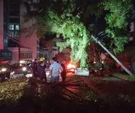 Fuerte vendaval causó graves emergencias en Pereira y Dosquebradas