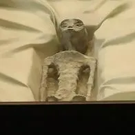 Extraterrestre presentado por Jaime Maussan