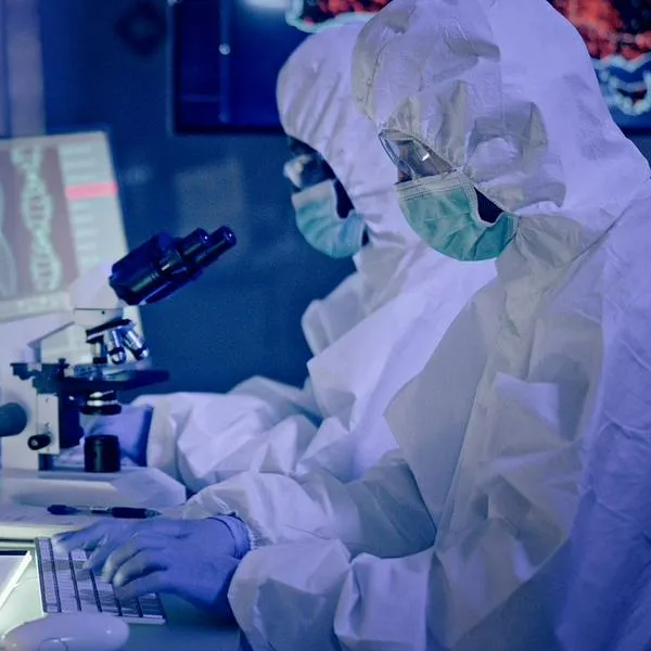 Qué es el virus Nipah, que la OMS cree podría causar próxima pandemia
