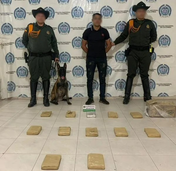 Capturan a hombre en Valledupar que pretendía enviar 12 kilos de marihuana en una encomienda