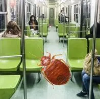 Usuarios del metro de la Cdmx reportan presencia de chinches.
