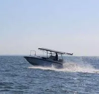 Rayo mató a una mujer en las Islas del Rosario